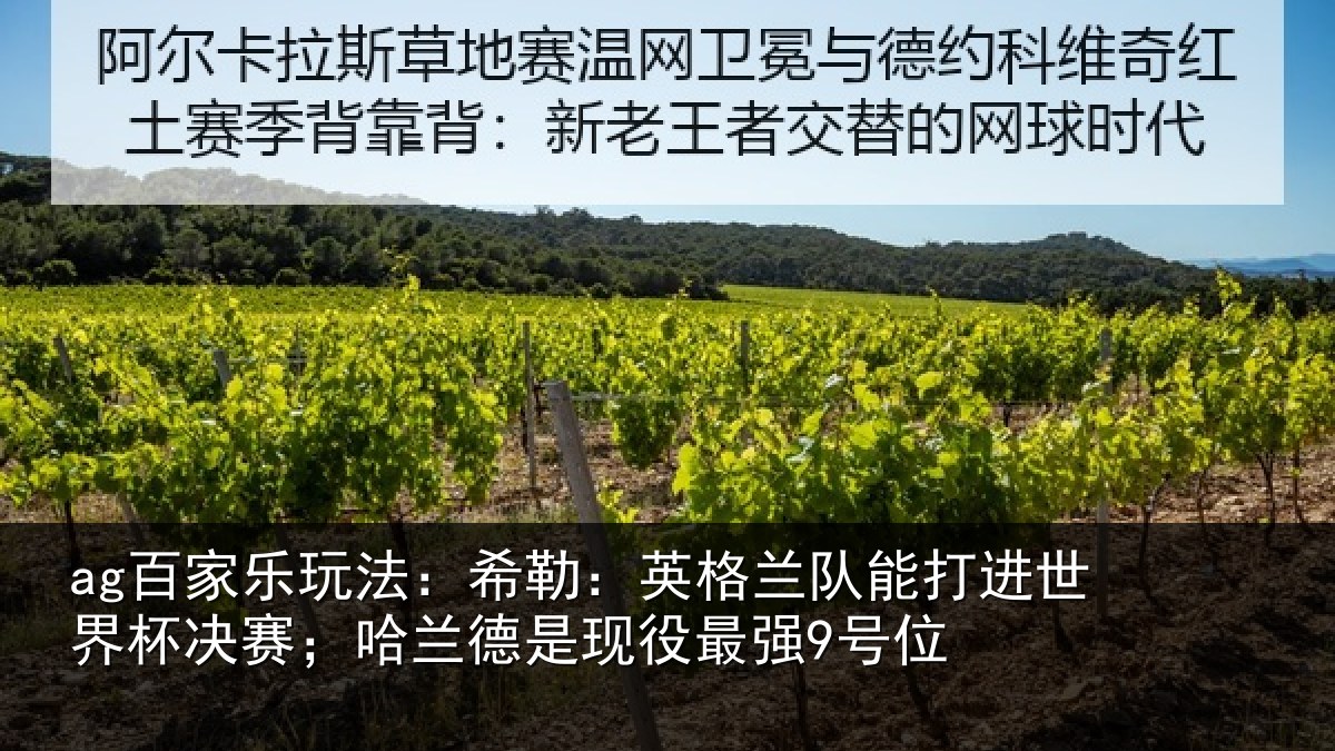 ag百家乐玩法:希勒:英格兰队能打进世界杯决赛;哈兰德是现役最强9号位