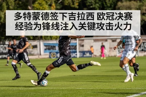 多特蒙德签下吉拉西 欧冠决赛经验为锋线注入关键攻击火力